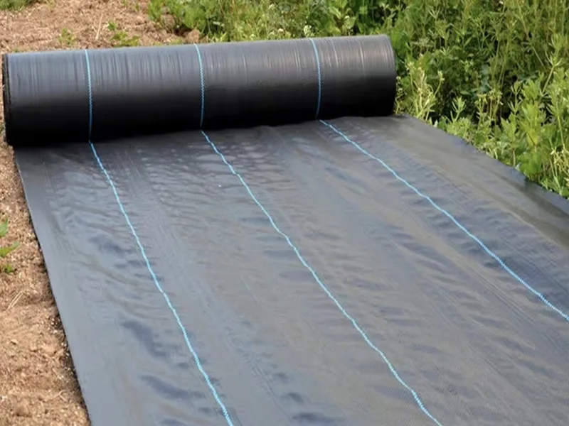 Tongfu Eco-Materials lança tecido de barreira biodegradável de alto desempenho contra ervas daninhas