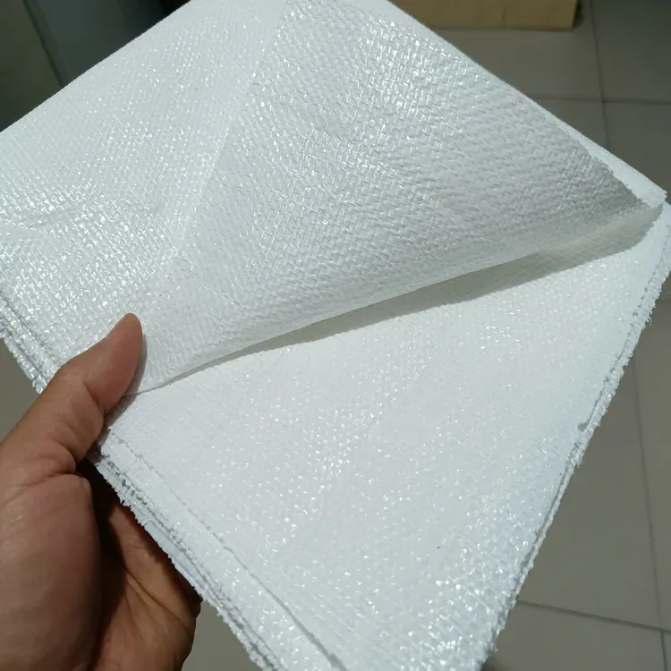 Tecido de barreira contra ervas daninhas padronizado e durável impulsiona o desenvolvimento moderno de plantio verde