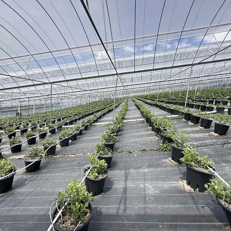 Como o tecido de barreira contra ervas daninhas ajuda a criar melhores espaços de cultivo ao ar livre?