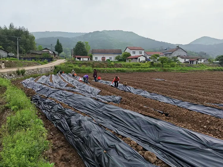 Slope Protection Geotextile Fabric