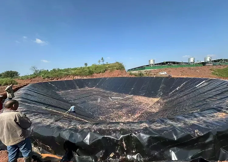 Artificial Lake Geomembrane